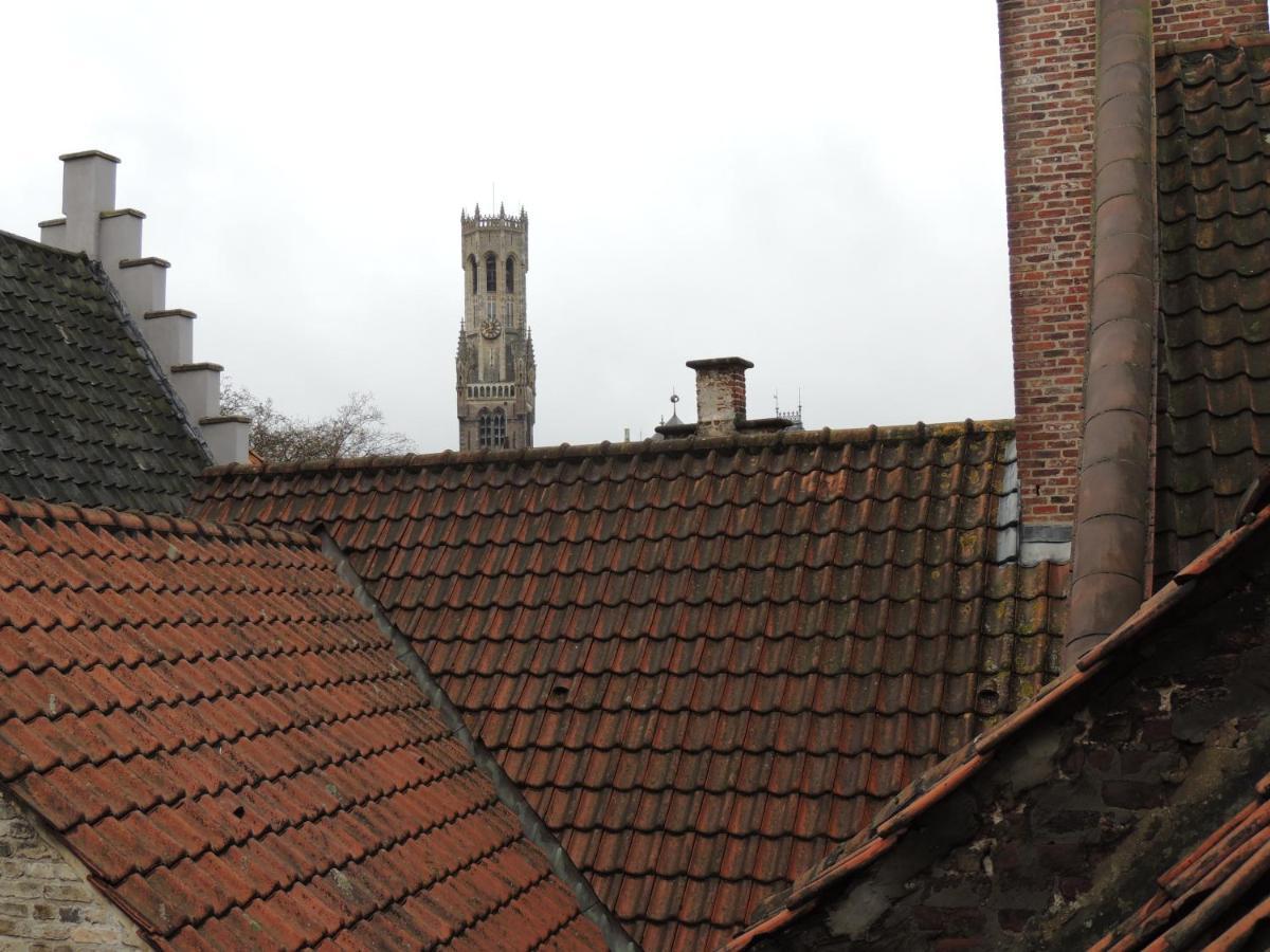 B&B Setola Brujas Exterior foto